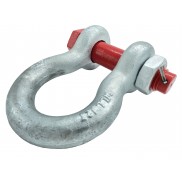 Forged Chain Shackle